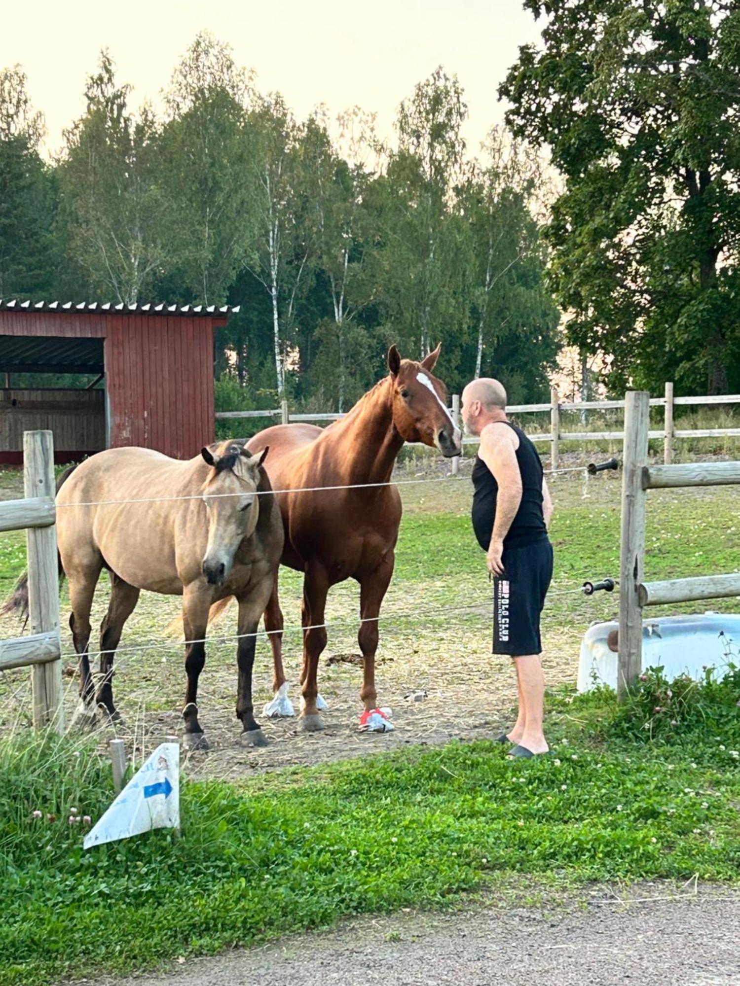 Ulvsby Ranch Western Camp 카를스타 외부 사진